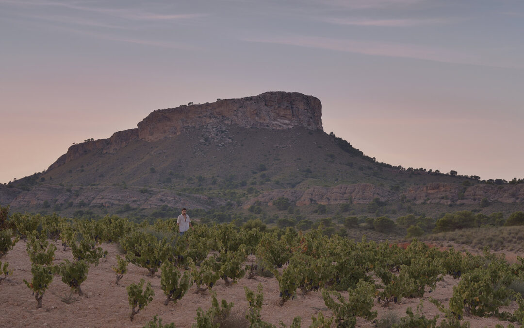 Discover Jumilla With A Taste of Monastrell