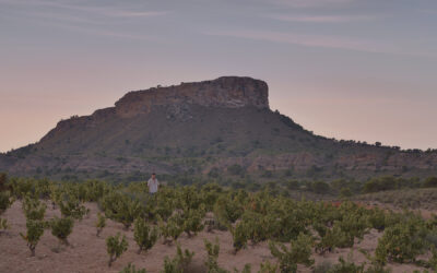 Discover Jumilla With A Taste of Monastrell
