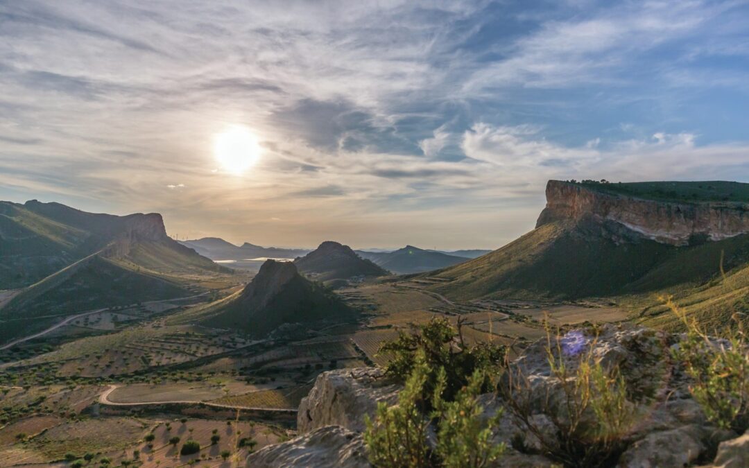 Why Jumilla wines are a rock solid investment