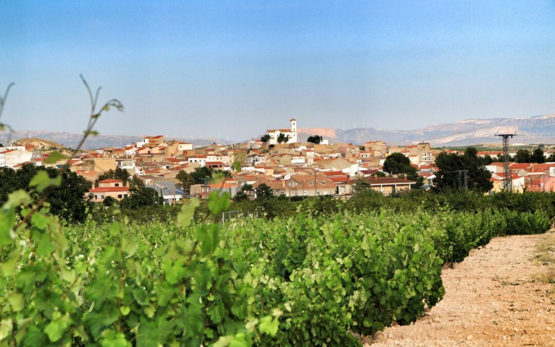 Jumilla wines dominate blind-tastings