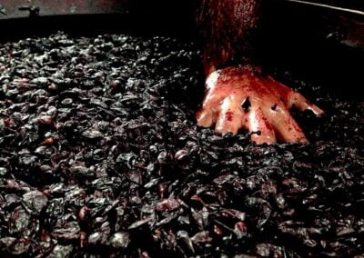 Bodega Cerrón
