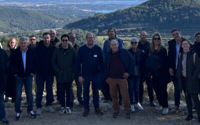 Jumilla and Bandol: United by MONASTRELL