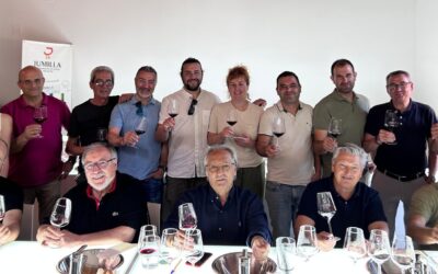 The 2024 vintage of Jumilla wines achieve the official rating of “VERY GOOD”