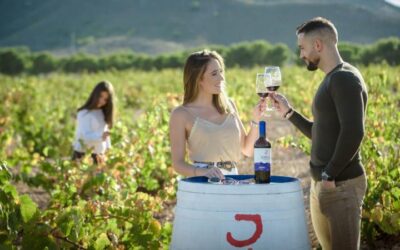 The Perfect Sip of Summer