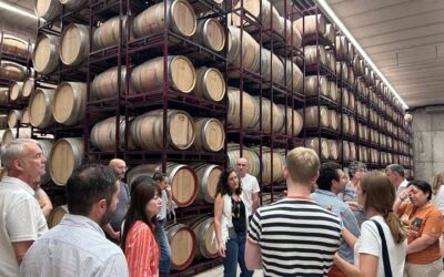 The Jumilla Wine School Takes First and Excellent Steps
