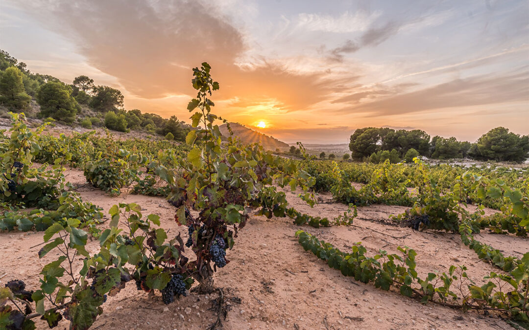 A Few Gems to Kick Off the New Year!