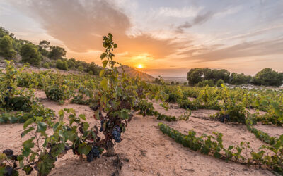 A Few Gems to Kick Off the New Year!