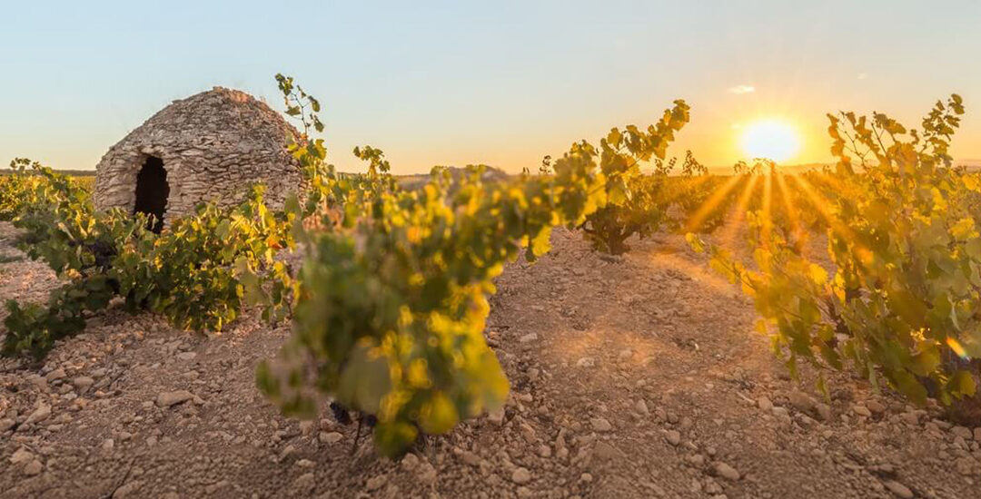 Educator Course 2026