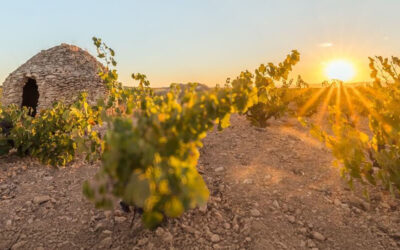 Educator Course 2026