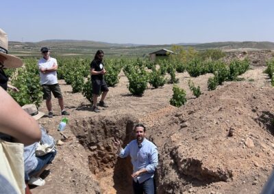 Estudio Suelos Jumilla - Wine Educator Course