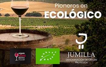 Jumilla pioneros en vino ecológico