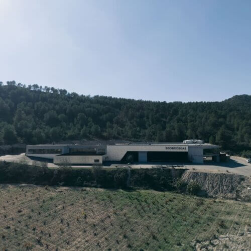 vinos de jumilla, ego bodegas