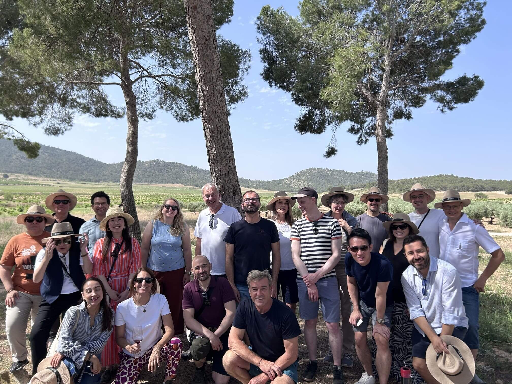 vinos de jumilla curso educador